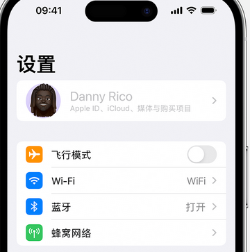 蓝山appleID维修服务iPhone设置中Apple ID显示为灰色无法使用 