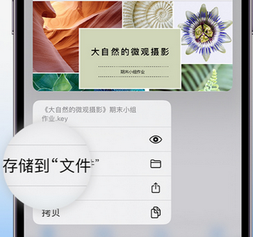 蓝山apple维修中心分享iPhone文件应用中存储和找到下载文件