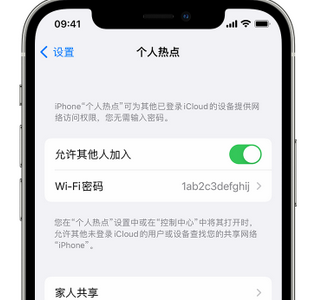 蓝山apple服务站点分享iPhone上个人热点丢失了怎么办