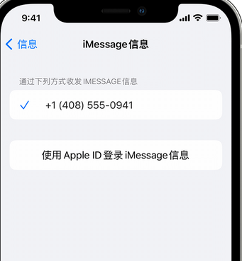 蓝山apple维修iPhone上无法正常发送iMessage信息 