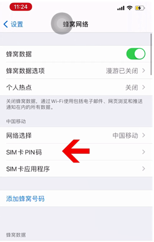 蓝山苹果14维修网分享如何给iPhone14的SIM卡设置密码 