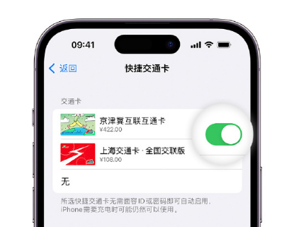 蓝山apple维修点分享iPhone上更换Apple Pay快捷交通卡手绘卡面 