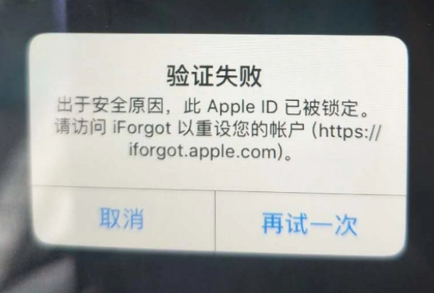 蓝山iPhone维修分享iPhone上正常登录或使用AppleID怎么办 