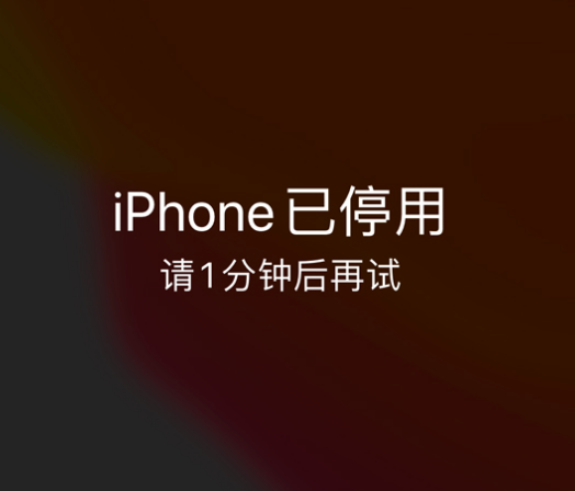 蓝山苹果手机维修分享:iPhone 显示“不可用”或“已停用”怎么办？还能保留数据吗？ 