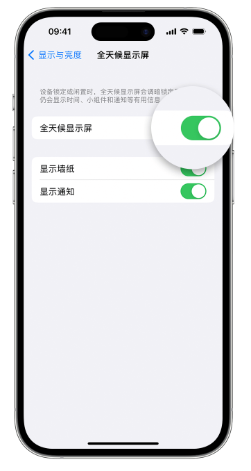 蓝山苹果14维修店分享如何自定义 iPhone 14 Pro 常亮显示屏 