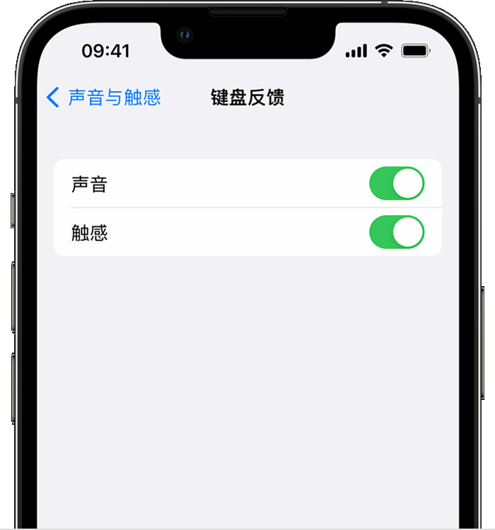 蓝山苹果14维修店分享如何在 iPhone 14 机型中使用触感键盘 