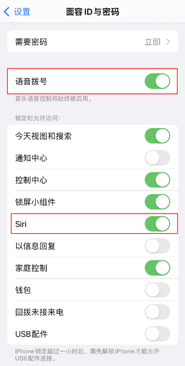 蓝山苹果维修网点分享不解锁 iPhone 的情况下通过 Siri 拨打电话的方法 