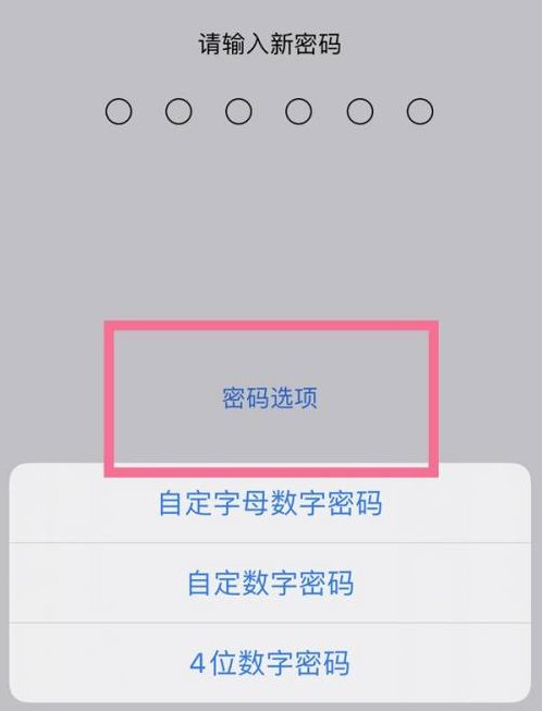 蓝山苹果14维修分享iPhone 14plus设置密码的方法 