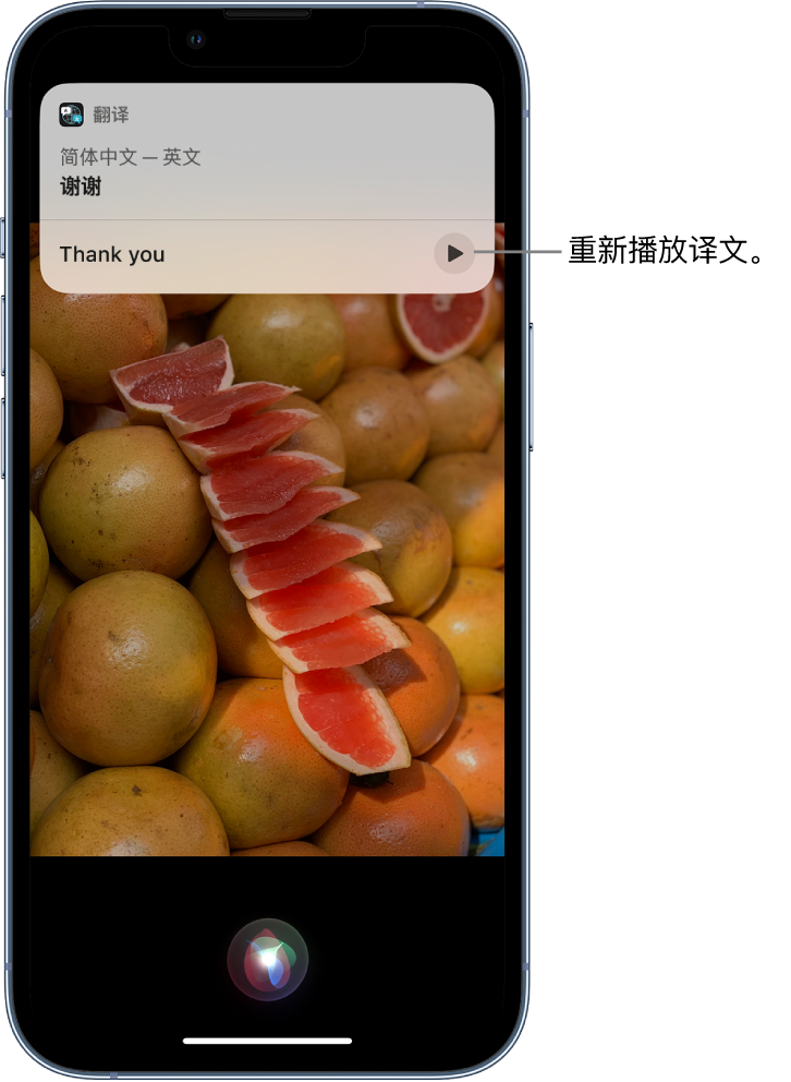 蓝山苹果14维修分享 iPhone 14 机型中使用 Siri：了解 Siri 能帮你做什么 