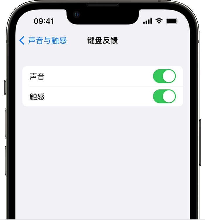 蓝山苹果14维修分享iPhone 14 系列机型如何开启键盘声音或触感反馈 