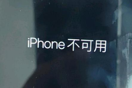 蓝山苹果服务网点分享锁屏界面显示“iPhone 不可用”如何解决 