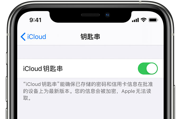 蓝山苹果手机维修分享在 iPhone 上开启 iCloud 钥匙串之后会储存哪些信息 