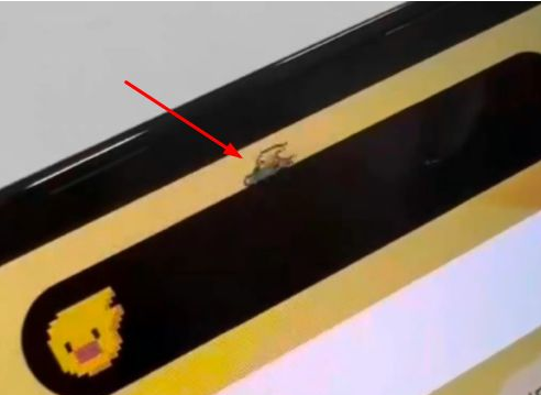 蓝山苹果14维修分享iPhone 14 Pro Max灵动岛怎么养宠物 