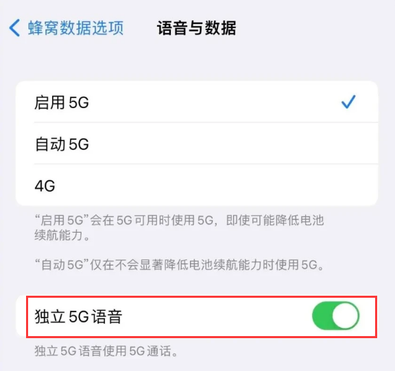 蓝山苹果14维修分享iPhone 14 Pro如何开启VoNR 
