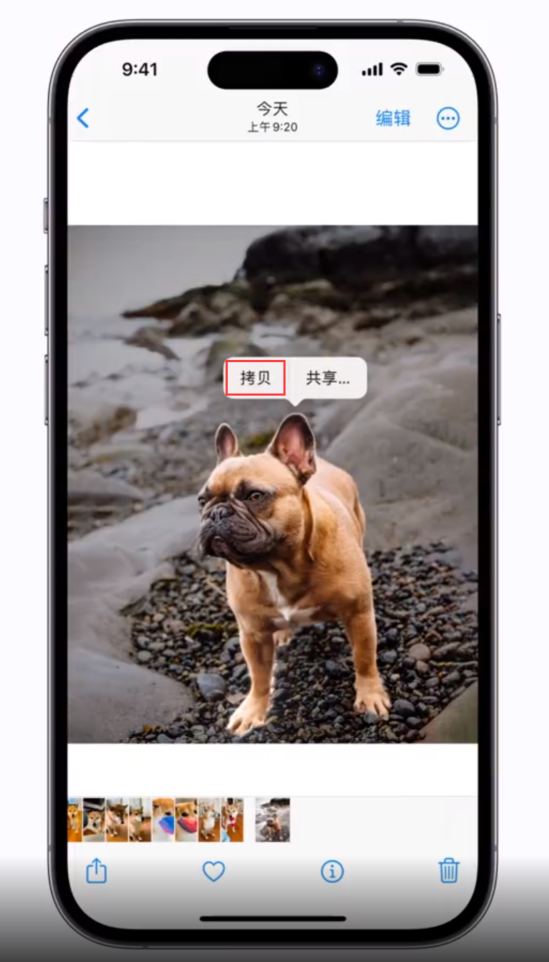 蓝山苹果手机维修分享 iOS 16 自带一键抠图功能 