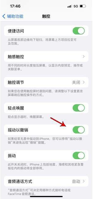 蓝山苹果手机维修分享iPhone手机如何设置摇一摇删除文字 