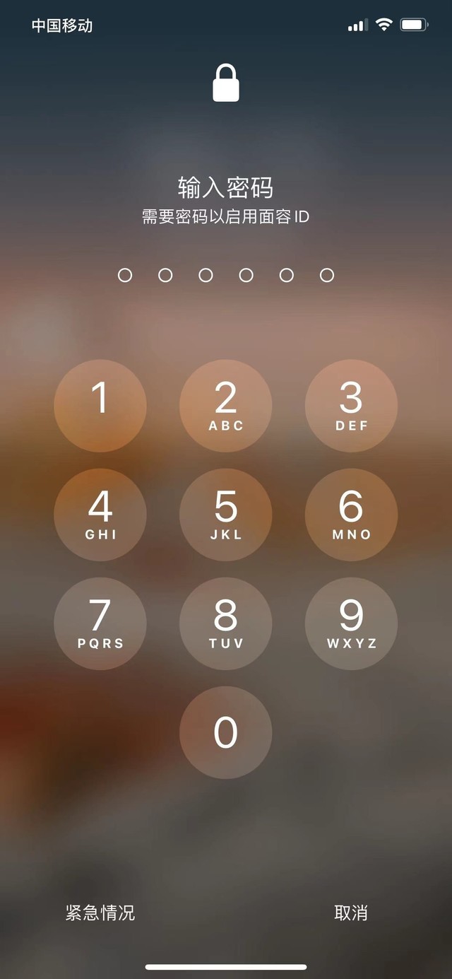 蓝山苹果13维修分享iPhone 13加强锁屏功能有什么用 