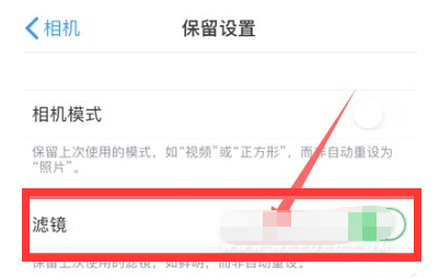 蓝山苹果13维修分享iPhone13拍照有绿点是怎么回事 