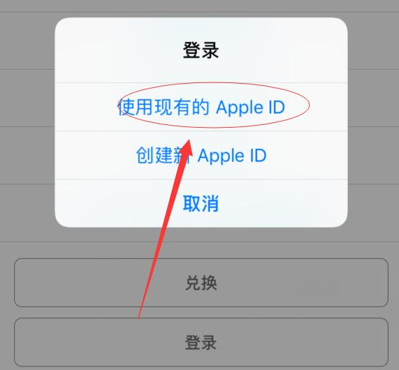 蓝山苹果手机维修分享两台iPhone设备可以同时登录一个Apple ID吗 