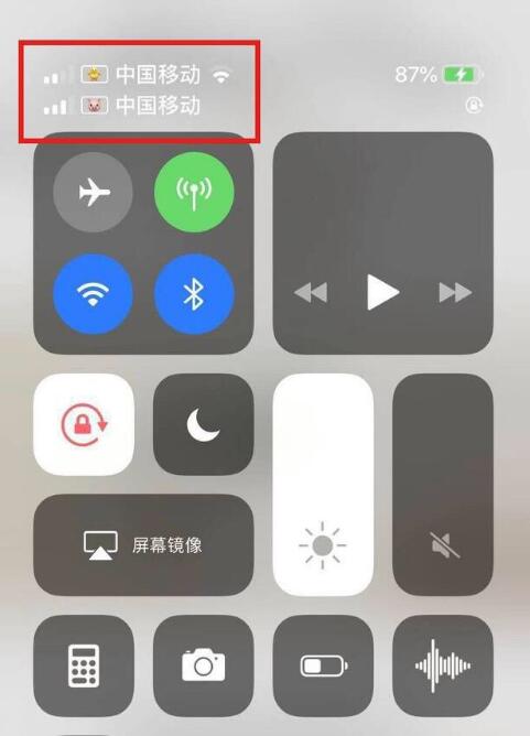 蓝山苹果手机维修分享为 iPhone 12 双卡设置标签 